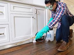 Best Pest Exclusion Services  in Minden, LA